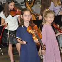 Audiviolonharpevioloncelle 16 