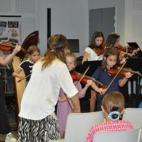 Audiviolonharpevioloncelle 3 