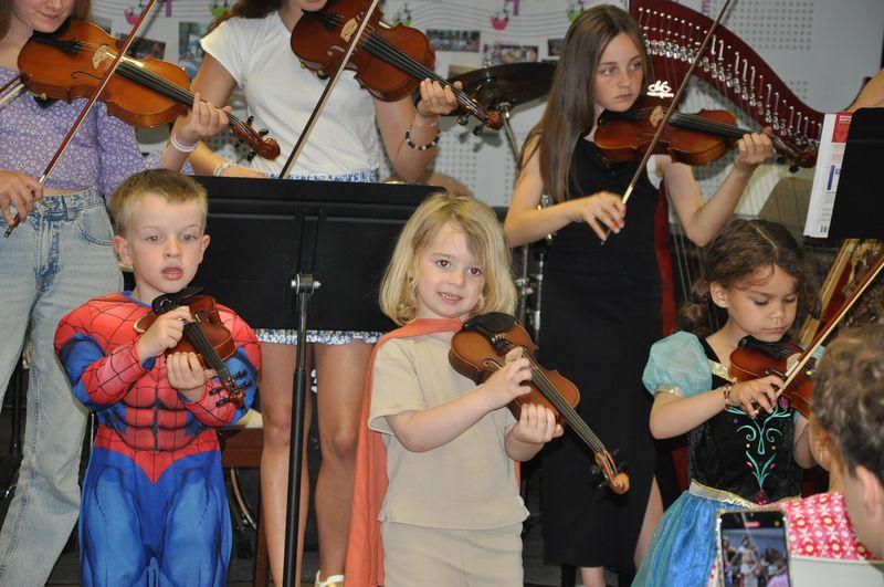 Audiviolonharpevioloncelle 30