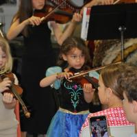 Audiviolonharpevioloncelle 31 