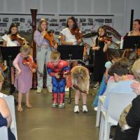 Audiviolonharpevioloncelle 32 