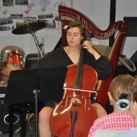 Audiviolonharpevioloncelle 35 