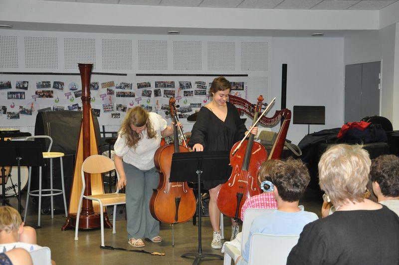 Audiviolonharpevioloncelle 37