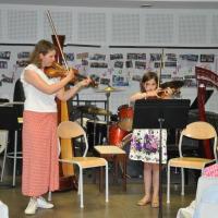 Audiviolonharpevioloncelle 38 