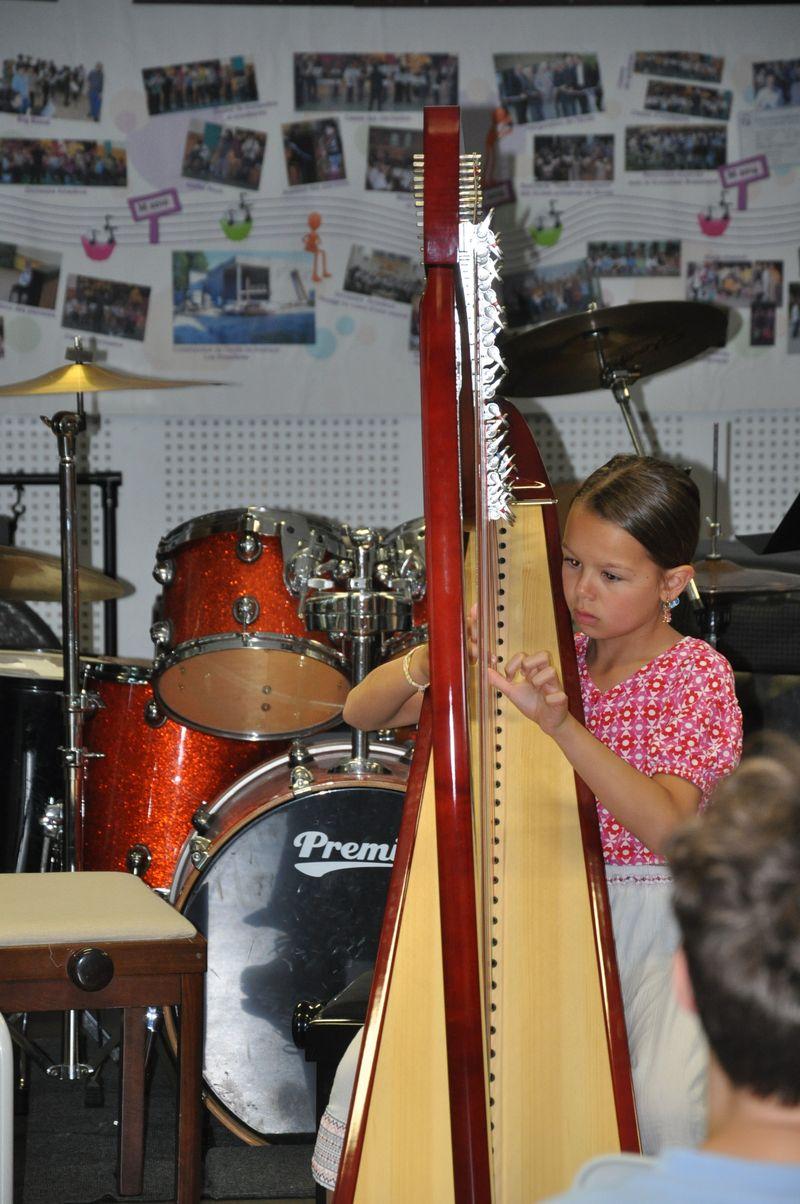 Audiviolonharpevioloncelle 43