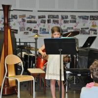 Audiviolonharpevioloncelle 44 