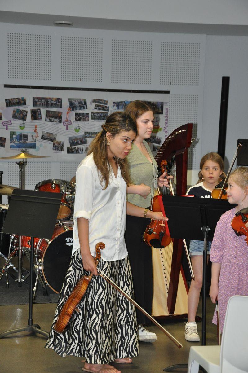 Audiviolonharpevioloncelle 5
