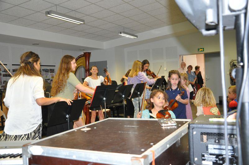 Audiviolonharpevioloncelle 50