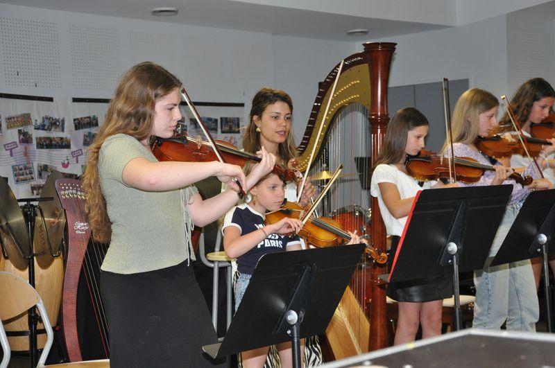 Audiviolonharpevioloncelle 51