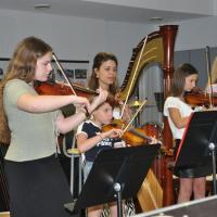 Audiviolonharpevioloncelle 51 