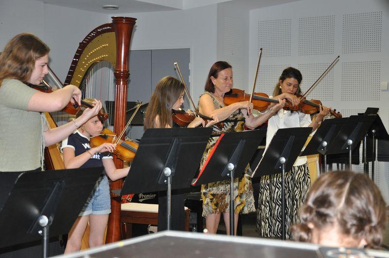 Audiviolonharpevioloncelle 52