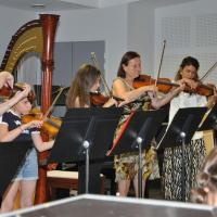 Audiviolonharpevioloncelle 52 