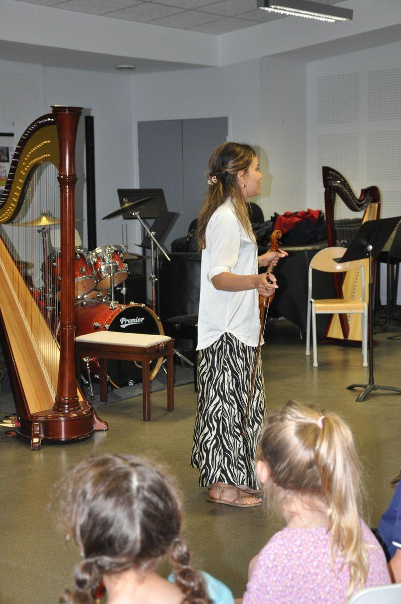 Audiviolonharpevioloncelle 53