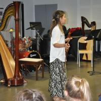 Audiviolonharpevioloncelle 53 