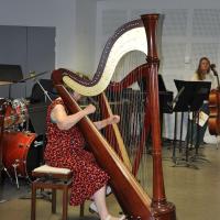 Audiviolonharpevioloncelle 8 