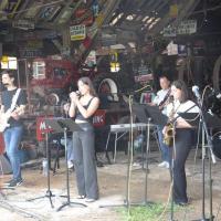 Festijazz6 81 