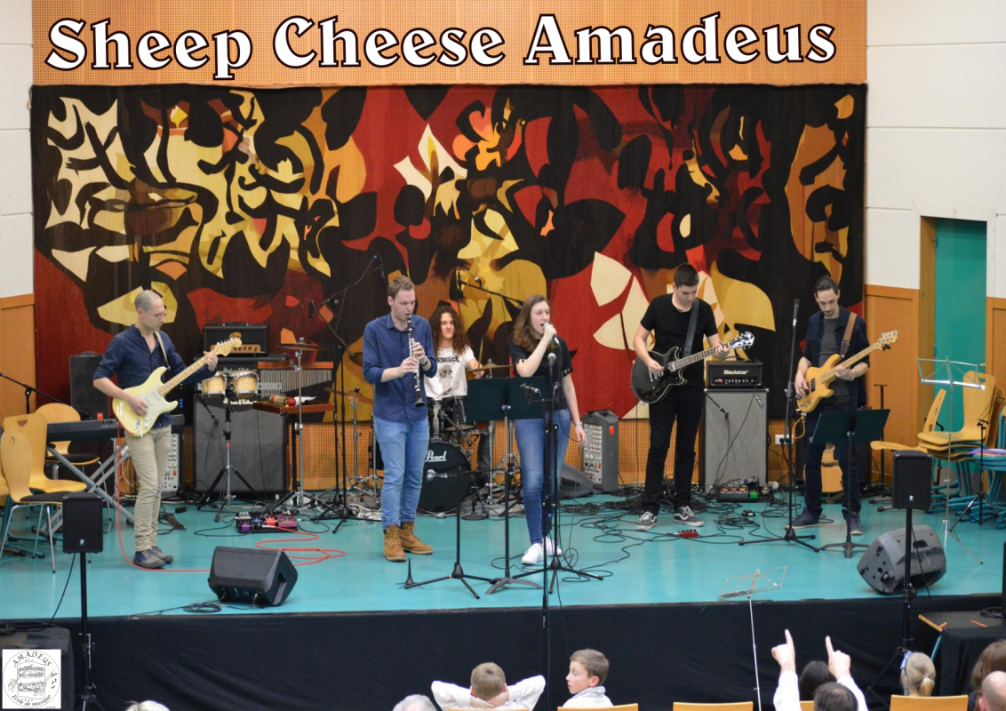 Sheepcheese